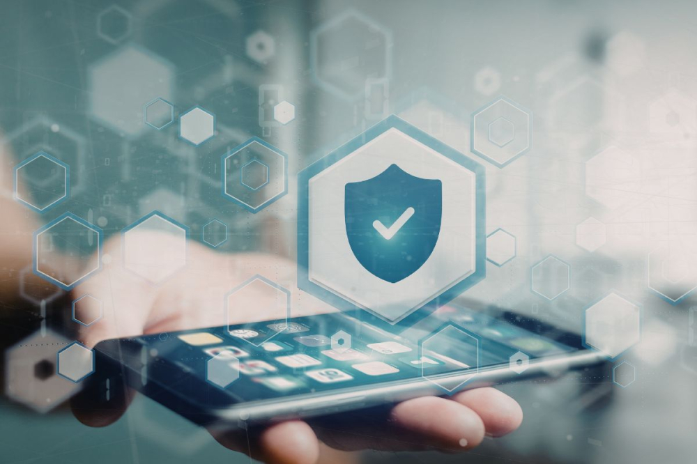 DISP protocol on a network